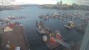 ./images/victoria/wharf/20230617/wharf20230617_060001.jpg