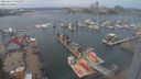 ./images/victoria/wharf/20230617/wharf20230617_140000.jpg