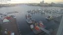 ./images/victoria/wharf/20230618/wharf20230618_060000.jpg