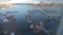 ./images/victoria/wharf/20230619/wharf20230619_060000.jpg