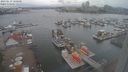 ./images/victoria/wharf/20230619/wharf20230619_180000.jpg
