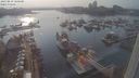 ./images/victoria/wharf/20230819/wharf20230819_180000.jpg