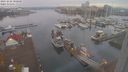 ./images/victoria/wharf/20231022/wharf20231022_080000.jpg