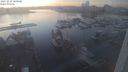 ./images/victoria/wharf/20231029/wharf20231029_180000.jpg