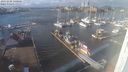 ./images/victoria/wharf/20231102/wharf20231102_140001.jpg