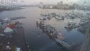 ./images/victoria/wharf/20231111/wharf20231111_080001.jpg