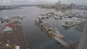 ./images/victoria/wharf/20231112/wharf20231112_120000.jpg