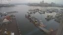 ./images/victoria/wharf/20231115/wharf20231115_080000.jpg