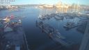 ./images/victoria/wharf/20231124/wharf20231124_083000.jpg
