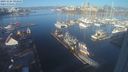 ./images/victoria/wharf/20231124/wharf20231124_094500.jpg