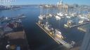 ./images/victoria/wharf/20231124/wharf20231124_122000.jpg