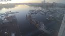 ./images/victoria/wharf/20231124/wharf20231124_162500.jpg