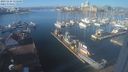 ./images/victoria/wharf/20231125/wharf20231125_115500.jpg