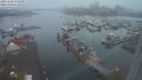 ./images/victoria/wharf/20231126/wharf20231126_075500.jpg