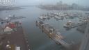 ./images/victoria/wharf/20231126/wharf20231126_081000.jpg