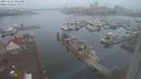 ./images/victoria/wharf/20231126/wharf20231126_081500.jpg