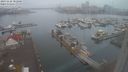 ./images/victoria/wharf/20231126/wharf20231126_082501.jpg