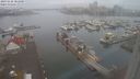./images/victoria/wharf/20231126/wharf20231126_084000.jpg