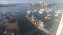 ./images/victoria/wharf/20231126/wharf20231126_125500.jpg