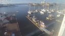 ./images/victoria/wharf/20231126/wharf20231126_130000.jpg