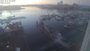 ./images/victoria/wharf/20231127/wharf20231127_163500.jpg