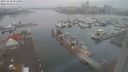 ./images/victoria/wharf/20231128/wharf20231128_083000.jpg
