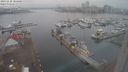 ./images/victoria/wharf/20231128/wharf20231128_104500.jpg