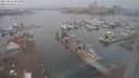 ./images/victoria/wharf/20231128/wharf20231128_110000.jpg