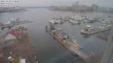 ./images/victoria/wharf/20231128/wharf20231128_110501.jpg