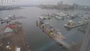 ./images/victoria/wharf/20231128/wharf20231128_111000.jpg