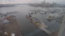 ./images/victoria/wharf/20231128/wharf20231128_143000.jpg