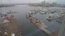 ./images/victoria/wharf/20231129/wharf20231129_101500.jpg