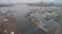 ./images/victoria/wharf/20231129/wharf20231129_102501.jpg