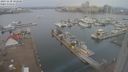 ./images/victoria/wharf/20231130/wharf20231130_102500.jpg