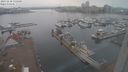 ./images/victoria/wharf/20231130/wharf20231130_135001.jpg