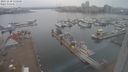 ./images/victoria/wharf/20231130/wharf20231130_135500.jpg