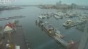 ./images/victoria/wharf/20231201/wharf20231201_080500.jpg