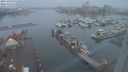 ./images/victoria/wharf/20231201/wharf20231201_082000.jpg