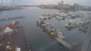 ./images/victoria/wharf/20231201/wharf20231201_083500.jpg