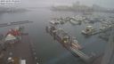 ./images/victoria/wharf/20231201/wharf20231201_091500.jpg