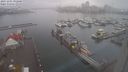 ./images/victoria/wharf/20231201/wharf20231201_092000.jpg