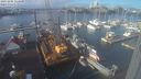./images/victoria/wharf/20231202/wharf20231202_114500.jpg