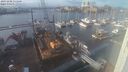 ./images/victoria/wharf/20231202/wharf20231202_131500.jpg