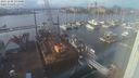 ./images/victoria/wharf/20231202/wharf20231202_133001.jpg
