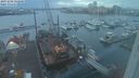 ./images/victoria/wharf/20231202/wharf20231202_162501.jpg