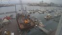 ./images/victoria/wharf/20231203/wharf20231203_084000.jpg
