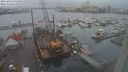 ./images/victoria/wharf/20231203/wharf20231203_101501.jpg
