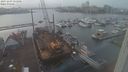 ./images/victoria/wharf/20231203/wharf20231203_151001.jpg