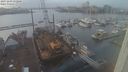 ./images/victoria/wharf/20231203/wharf20231203_152500.jpg