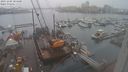 ./images/victoria/wharf/20231204/wharf20231204_084500.jpg